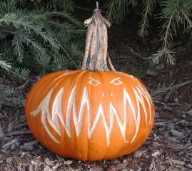 Teeth, Nipomo Pumpkin Patch, carving idea